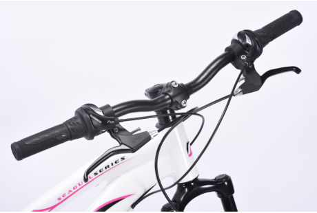 VTT SEAGULL