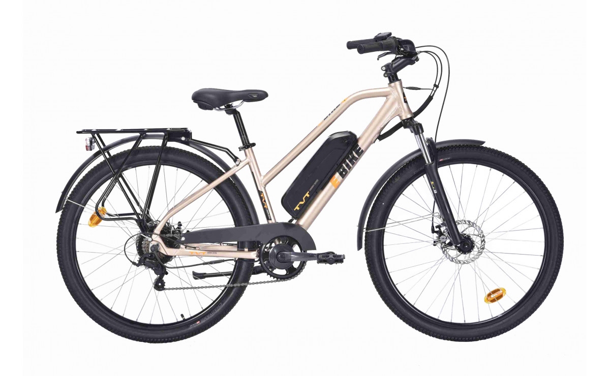 E-BIKE 16 Ah